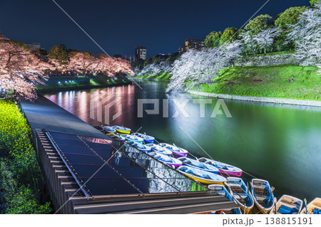 春の千鳥ヶ淵の夜景 夜桜ライトアップイベント「千代田のさくらまつり」【東京都・千代田区】 春の千鳥ヶ淵の夜景 夜桜ライトアップイベント「千代田のさくらまつり」【東京都・千代田区】 138815191