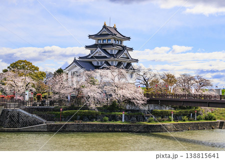 桜満開の墨俣一夜城と犀川堤の桜 138815641