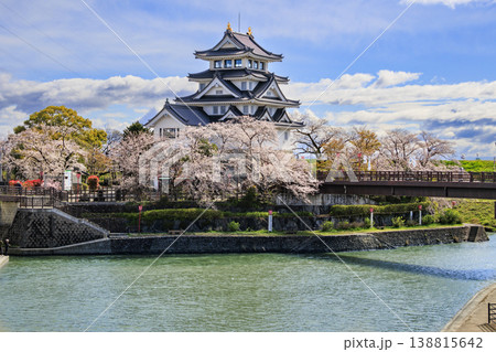 桜満開の墨俣一夜城と犀川堤の桜 138815642