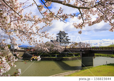 桜満開の墨俣一夜城と犀川堤の桜 桜満開の墨俣一夜城と犀川堤の桜 138815644