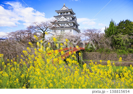 桜満開の墨俣一夜城と犀川堤の桜 138815654