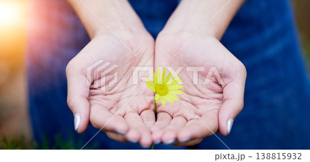 Closeup, hands and woman with a flower, sustainability and eco friendly with hope, give or charity. Zoom, female person or girl with nature, bloom or plant with growth, natural ecology or agriculture 138815932