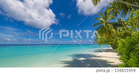 Picturesque summer beach panoramic landscape sunshine blue ocean palm trees tranquil relaxing tropical paradise travel scenery background 138815959