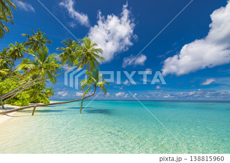 Stunning picturesque beach panorama tropical landscape blue ocean palm trees sunshine calm sea tranquil summer vacation paradise scene Stunning picturesque beach panorama tropical landscape blue ocean palm trees sunshine calm sea tranquil summer vacation paradise scene 138815960