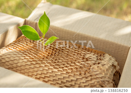 Green leaf on eco friendly brown paper honeycomb wrap for product packaging parcel carton box 138816250