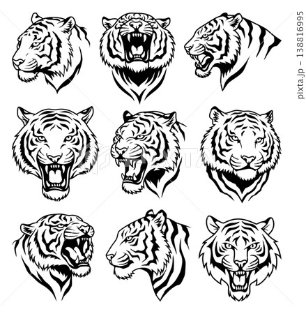 Set of tiger head icons in black and white. Tiger head design bundle 138816995