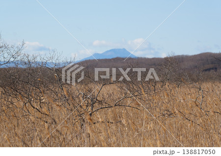 春の釧路湿原風景 春の釧路湿原風景 138817050