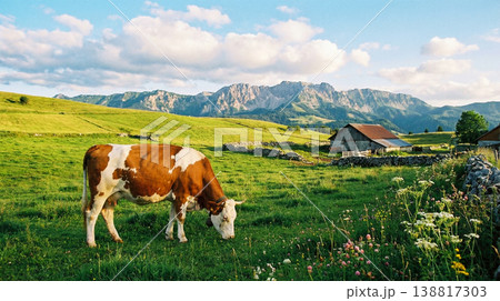 Brown and white cow grazing in a green pasture with rustic barns and stone walls in the foothills. Warm golden light bathes the meadow in late afternoon. Brown and white cow grazing in a green pasture with rustic barns and stone walls in the foothills. Warm golden light bathes the meadow in late afternoon. 138817303