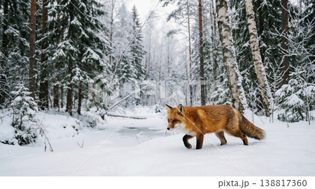 Red fox walking across a snowy forest floor by a frozen stream. Soft snowfall and pale dawn light create a peaceful winter mood. 138817360