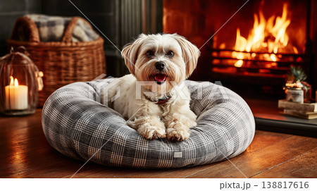 Small dog sits in a plaid bed in the living room. Fireplace glow creates a cozy mood. 138817616