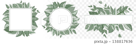 Modern Botanical Frame Collection Square, Circle and Banner Foliage Borders in Dusty Sage Green. Premium Vector for Eco-Branding and Wedding Decor. 138817636