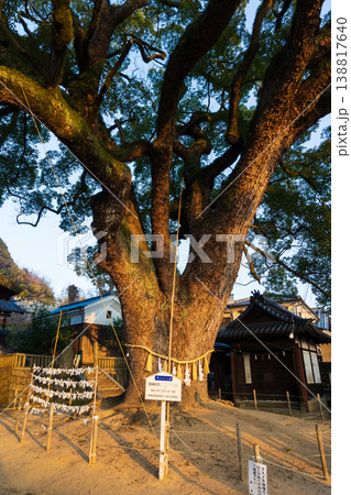 冬の瀬戸内　広島県尾道市　早朝の艮神社 138817640