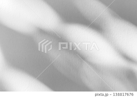 Abstract natural tree branch leaves shadow on white wall background Abstract natural tree branch leaves shadow on white wall background 138817676
