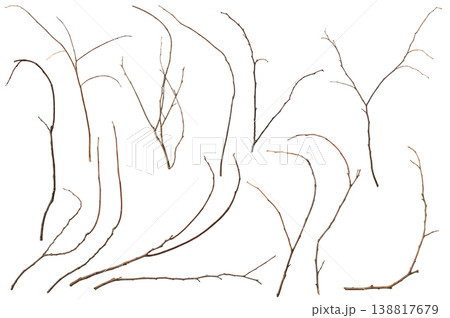 Dry tree branches set isolated on white background Dry tree branches set isolated on white background 138817679