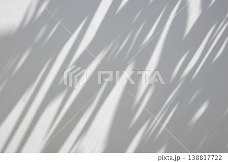 Abstract natural tree branch leaves shadow on white wall background Abstract natural tree branch leaves shadow on white wall background 138817722