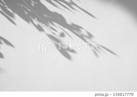 Abstract natural tree leaves shadow on white wall background 138817770