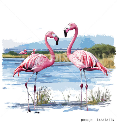 Lake Nakuru Flamingos. Lake Nakuru Flamingos hand drawn watercolor illustration on white background 138818113
