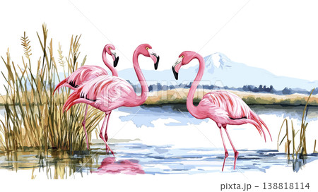 Lake Nakuru Flamingos. Lake Nakuru Flamingos hand drawn watercolor illustration on white background Lake Nakuru Flamingos. Lake Nakuru Flamingos hand drawn watercolor illustration on white background 138818114