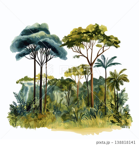 Loango National Park. Loango National Park hand drawn watercolor illustration on white background Loango National Park. Loango National Park hand drawn watercolor illustration on white background 138818141