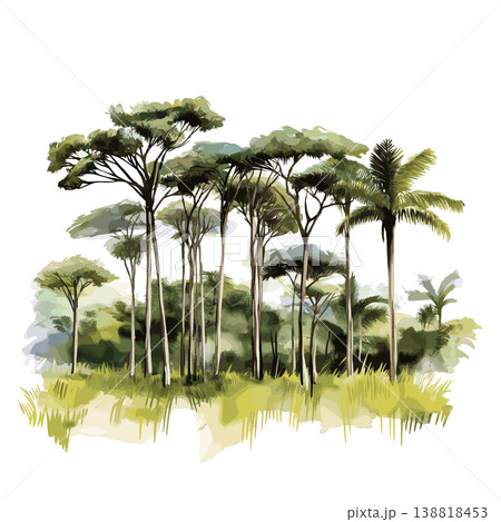 Pongara National Park. Pongara National Park hand drawn watercolor illustration on white background 138818453