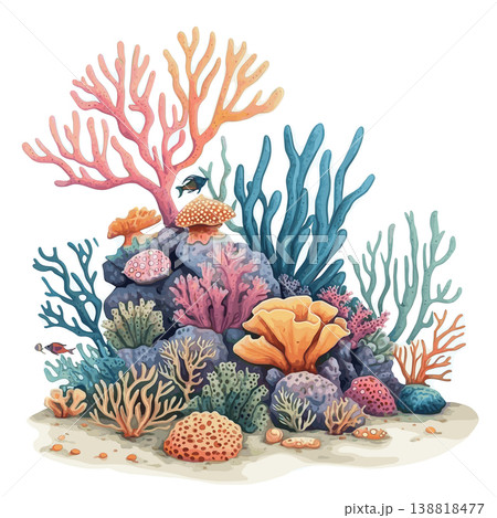 Red Sea Coral Reefs. Red Sea Coral Reefs hand drawn watercolor illustration on white background 138818477