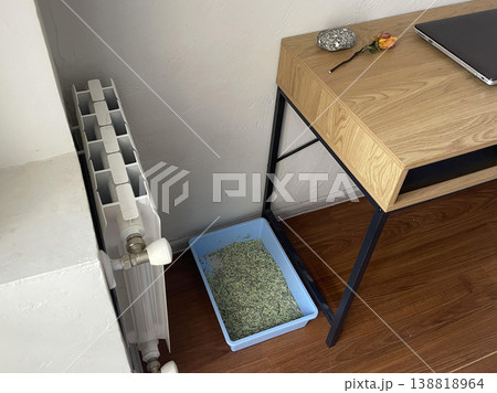the cat toilet on the floor the cat toilet on the floor 138818964