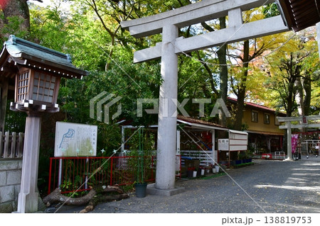 江尻城3 小芝八幡宮 江尻城3 小芝八幡宮 138819753