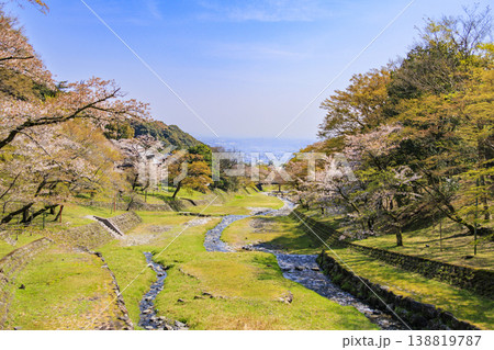 桜満開の養老公園 桜満開の養老公園 138819787