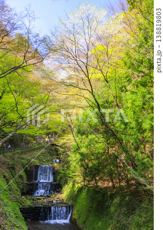 桜満開の養老公園 桜満開の養老公園 138819803