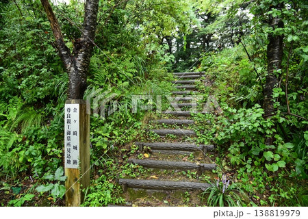 金ヶ崎城跡　福井県敦賀市 138819979