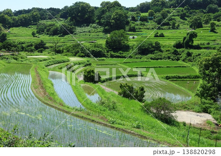 夏の美しい棚田 138820298