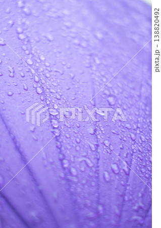 紫の傘についた雨粒・梅雨・雨のイメージ 紫の傘についた雨粒・梅雨・雨のイメージ 138820492