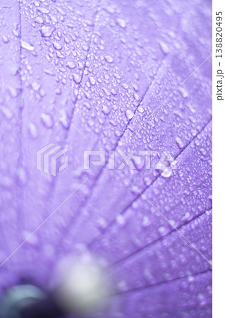 紫の傘についた雨粒・梅雨・雨のイメージ 紫の傘についた雨粒・梅雨・雨のイメージ 138820495