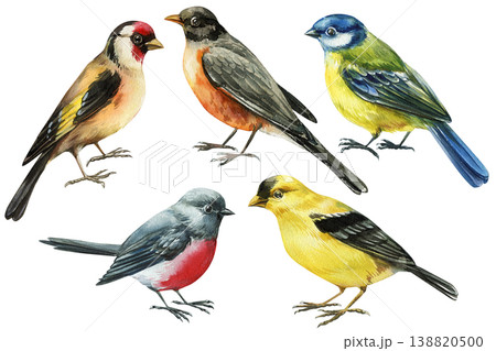 spring birds watercolor clipart set with colorful songbirds isolated on light background for nursery decor and nature design 138820500