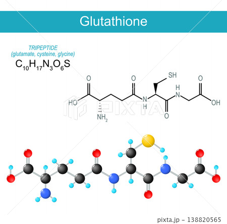 Glutathione molecule. Molecular chemical structural formula 138820565