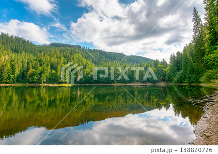 landscape by the lake on cloudy morning. coniferous forest near the lake and the forest mountain. awesome summer view of carpathian mountain reflection on synevr lake water surface. clean environment landscape by the lake on cloudy morning. coniferous forest near the lake and the forest mountain. awesome summer view of carpathian mountain reflection on synevr lake water surface. clean environment 138820726