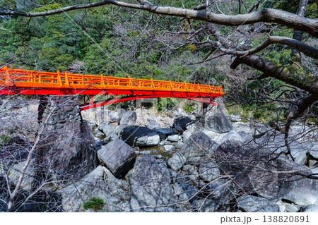 和歌山県田辺市　奇絶峡の赤い滝見橋 138820891