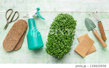 Microgreens growing kit with gardening tools 138820936