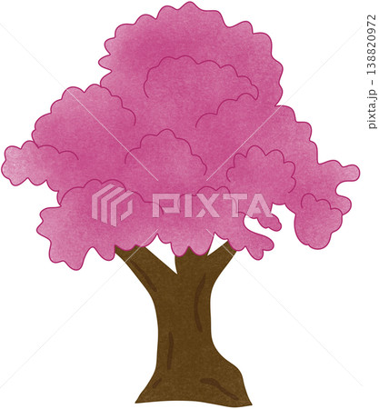 pink cherry blossom tree 138820972