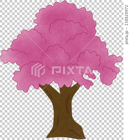 pink cherry blossom tree 138820972