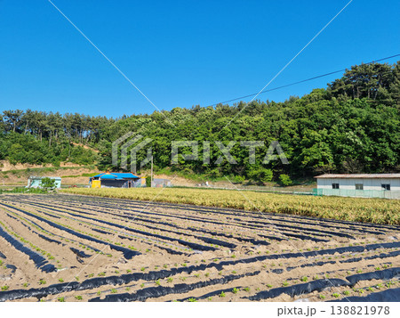 It is a rural landscape with a field. 138821978