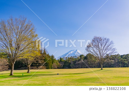 (山梨県富士吉田市)新緑の諏訪の森自然公園(富士パインズパーク) (山梨県富士吉田市)新緑の諏訪の森自然公園(富士パインズパーク) 138822108
