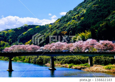 川の向こう岸に並んで咲いた満開の桜 川の向こう岸に並んで咲いた満開の桜 138822183