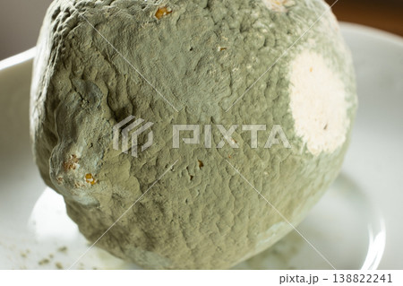 Close-up of green mold growing on a rotten fruit lemon. 138822241