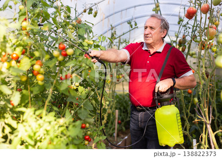 Man gardener spraying trees with garden spray in hothouse 138822373