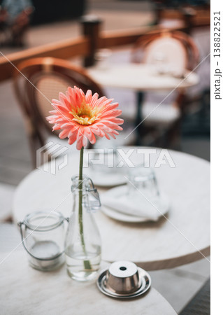 Pink Gerbera Daisy on Outdoor Cafe Table Pink Gerbera Daisy on Outdoor Cafe Table 138822521