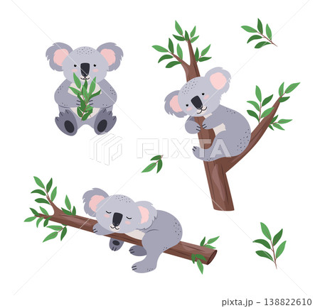 Cute koala with eucalyptus branches, on a tree in different poses and expressions. Vector illustration of cartoon animals of Australia. Flat style. Cute koala with eucalyptus branches, on a tree in different poses and expressions. Vector illustration of cartoon animals of Australia. Flat style. 138822610