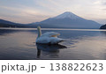 湖越しに富士山を眺める白鳥の後ろ姿と日本の絶景 138822623