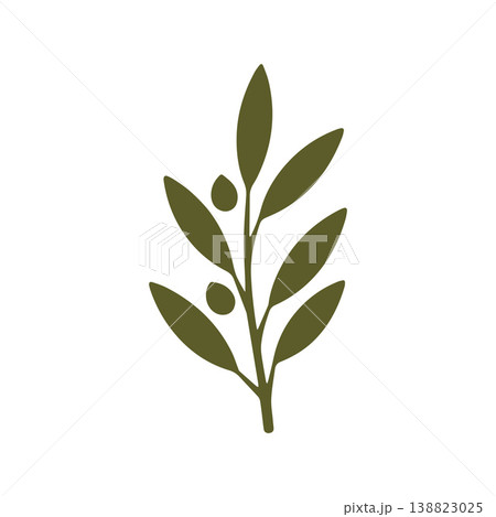 Elegant Mediterranean Olive Oil Brand Identity Design Elegant Mediterranean Olive Oil Brand Identity Design 138823025