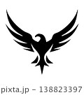 Elegant Eagle Emblem Minimal Logo 138823397